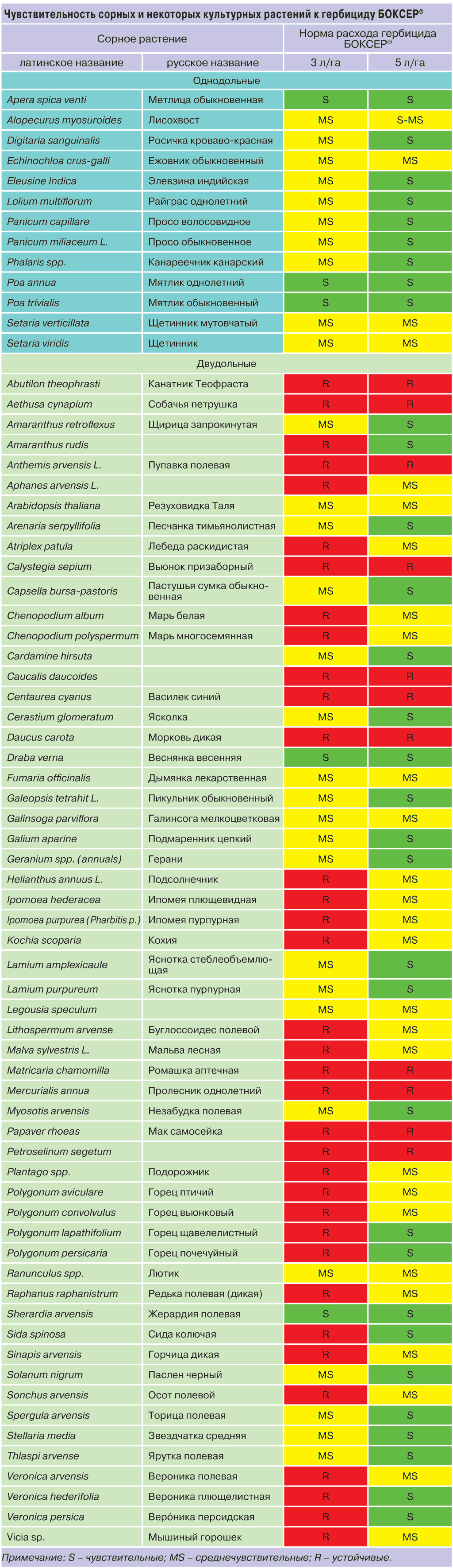 Лук морковь схема Лук морковь схема