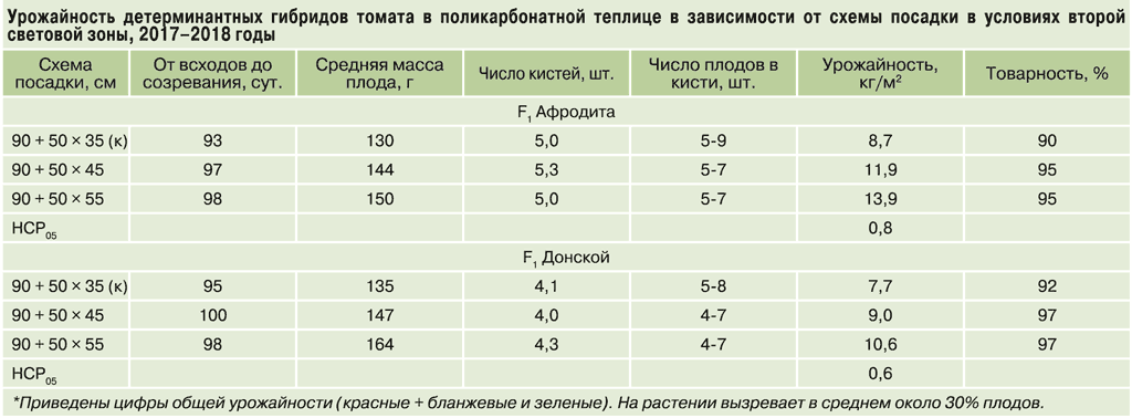 Схема посадки томатов в парнике в шахматном порядке