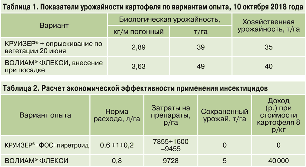 фаза картофеля для учета повреждений подгрызающей совкой. Смотреть фото фаза картофеля для учета повреждений подгрызающей совкой. Смотреть картинку фаза картофеля для учета повреждений подгрызающей совкой. Картинка про фаза картофеля для учета повреждений подгрызающей совкой. Фото фаза картофеля для учета повреждений подгрызающей совкой